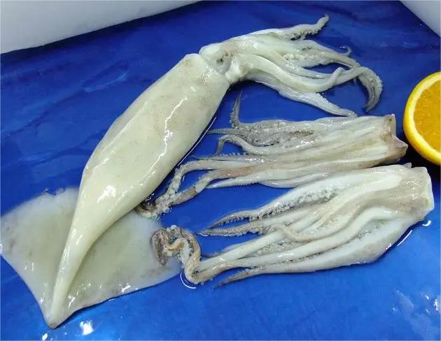 新鮮蔬菜配送廠哪個(gè)好