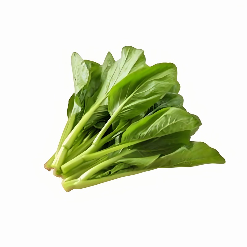 春分和立春是一回事嗎 春分和立春如何養(yǎng)生