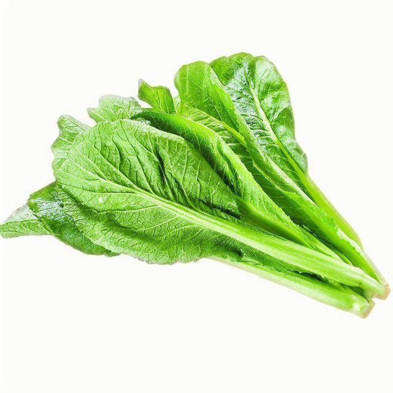 蔬菜配送價(jià)格,東莞蔬菜配送,食材配送